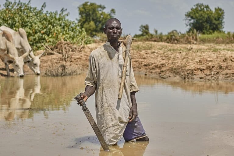 Photo credit: Mongabay